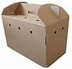 Cardboard Cat Carrier